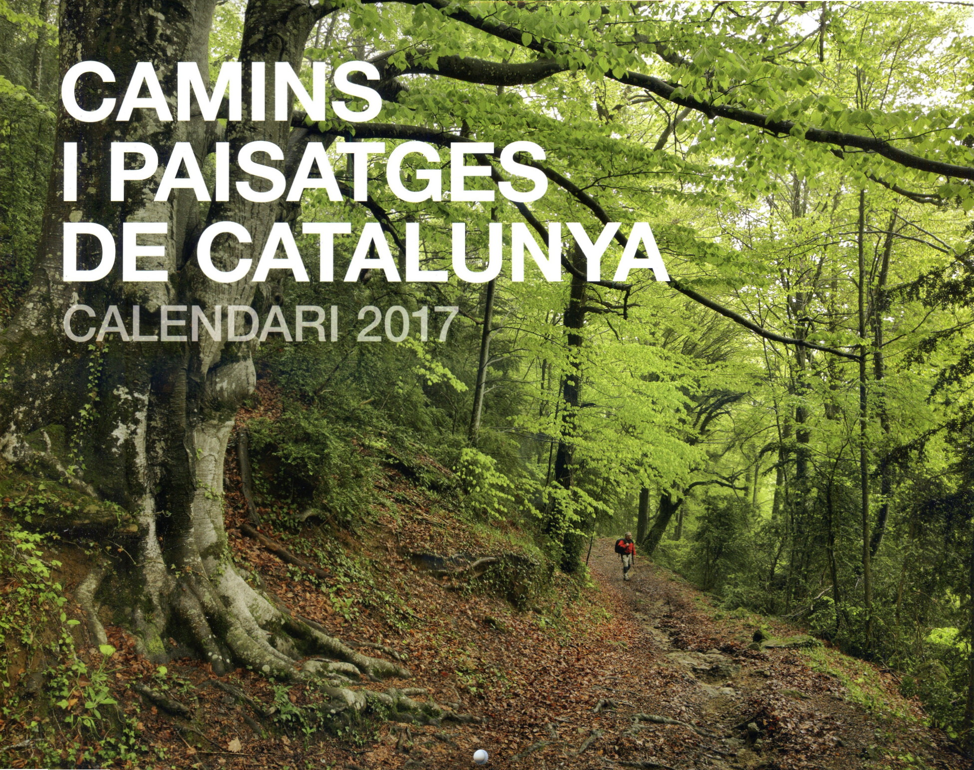 Camins i paisatges de Catalunya : Calendari 2017 - Portada